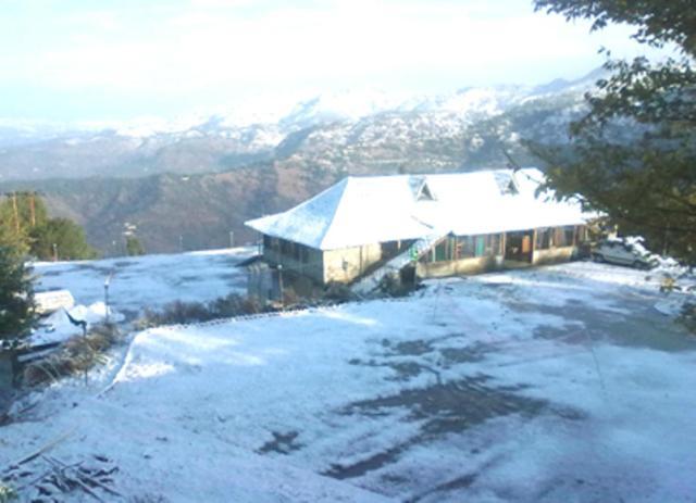 Oyo 43476 Vatika Resort Shimla Eksteriør billede