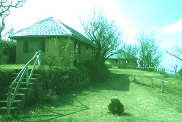 Oyo 43476 Vatika Resort Shimla Eksteriør billede