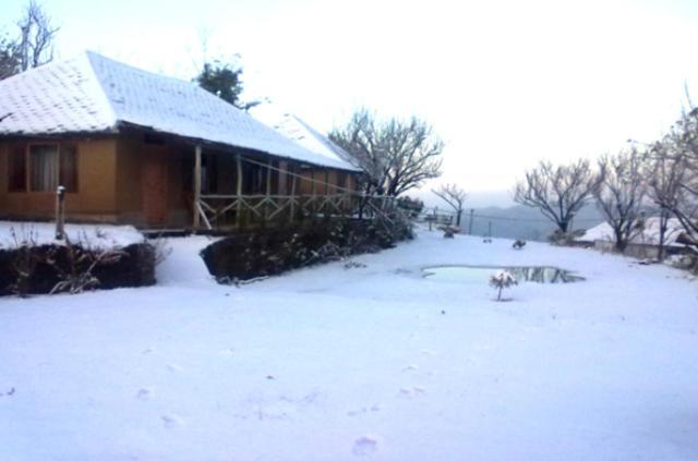 Oyo 43476 Vatika Resort Shimla Eksteriør billede